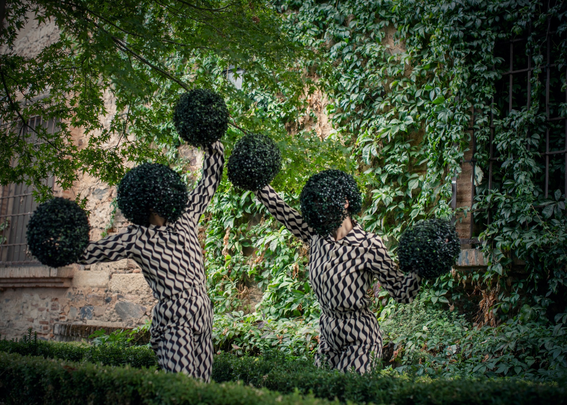 No hay hueco en el jardín — Jardín patrimonial · 2024