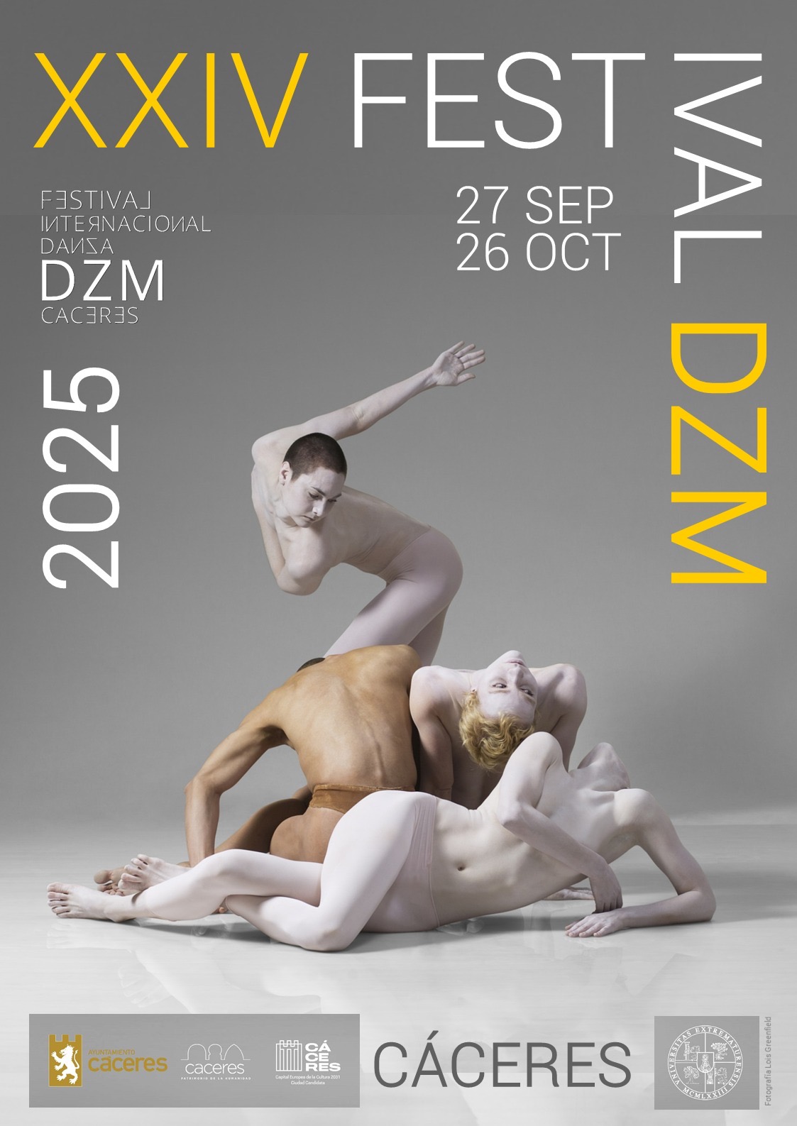 Cartel XXIV Festival DZM · Festival DZM 2025