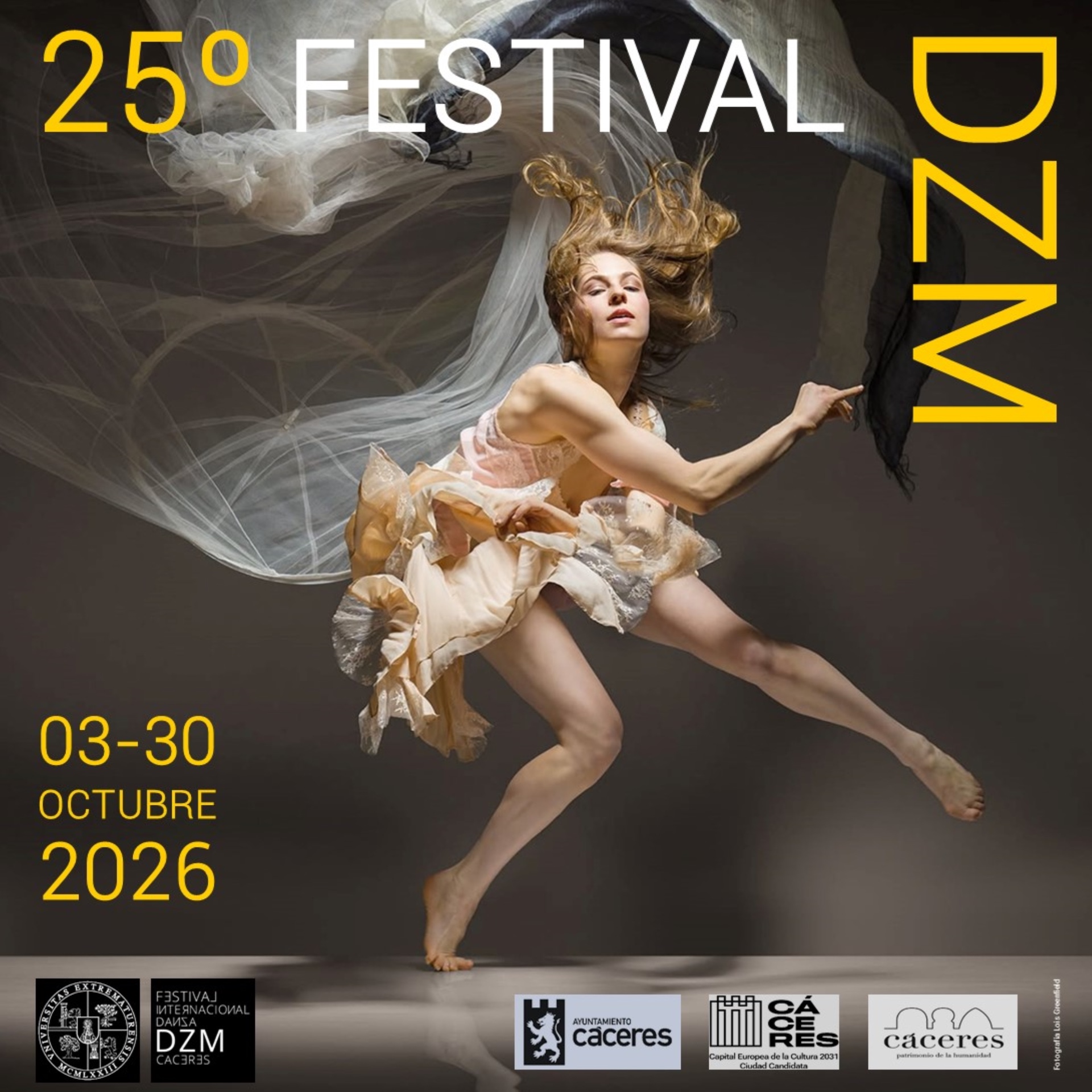 Cartel · 25º Festival DZM 2026