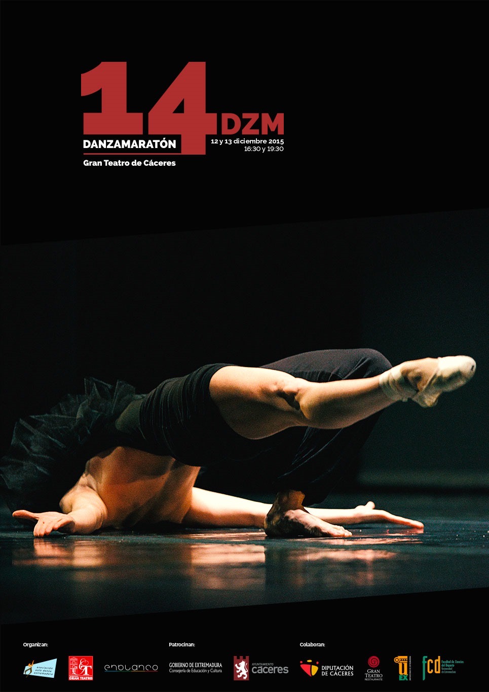 Cartel XIV Danzamaratón · Festival DZM 2015