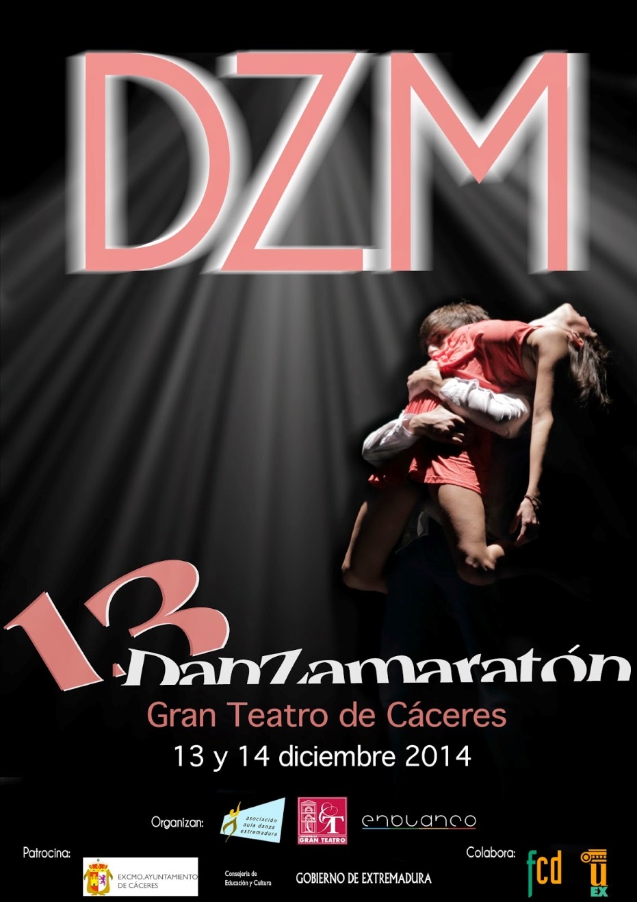 Cartel XIII Danzamaratón · Festival DZM 2014