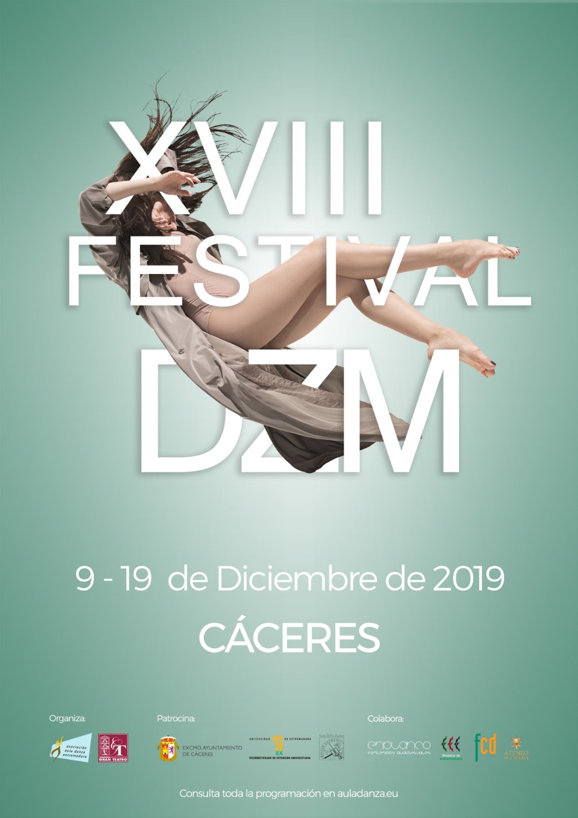 Cartel XVIII Festival DZM · Festival DZM 2019