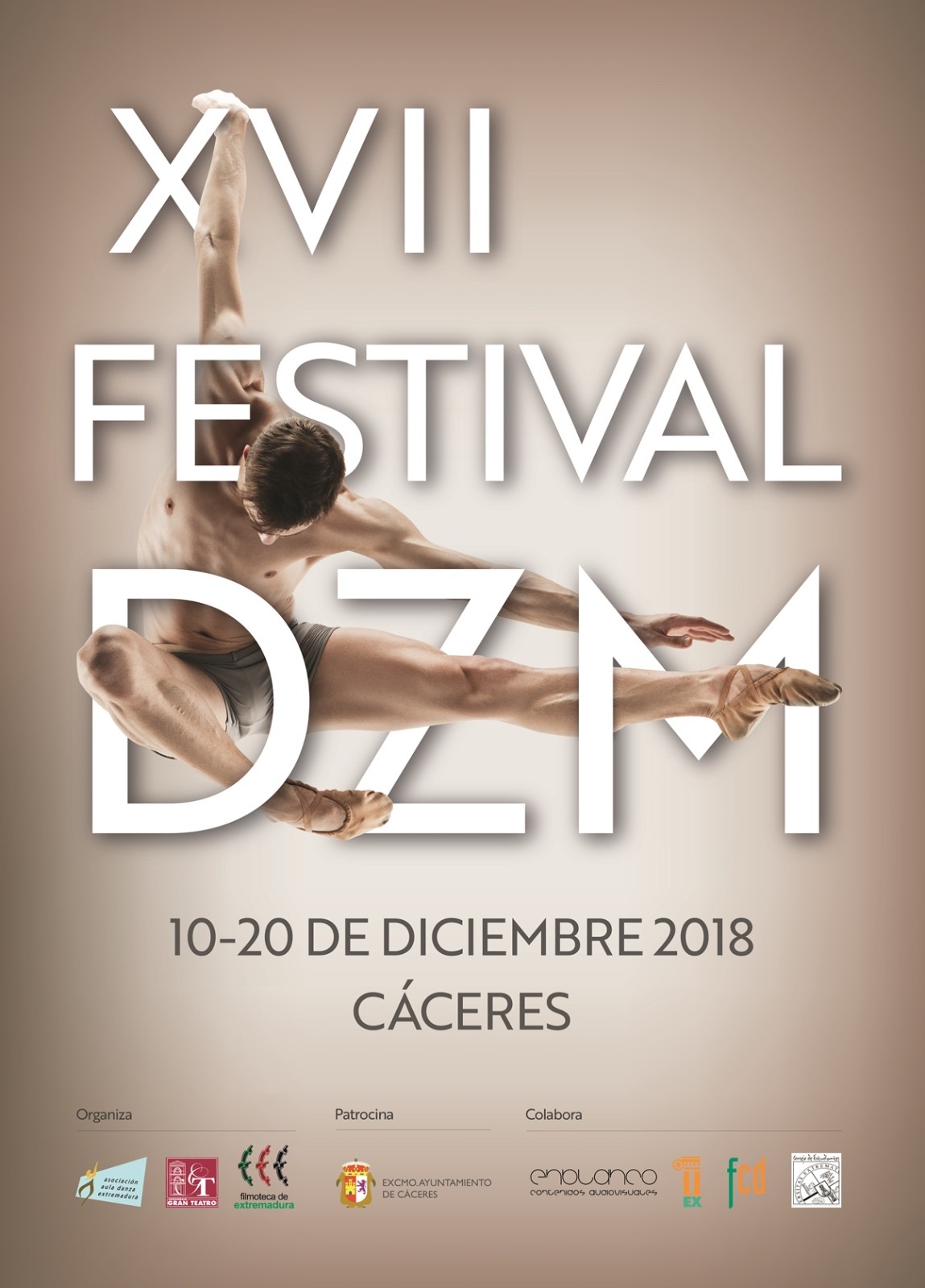Cartel XVII Festival DZM · Festival DZM 2018