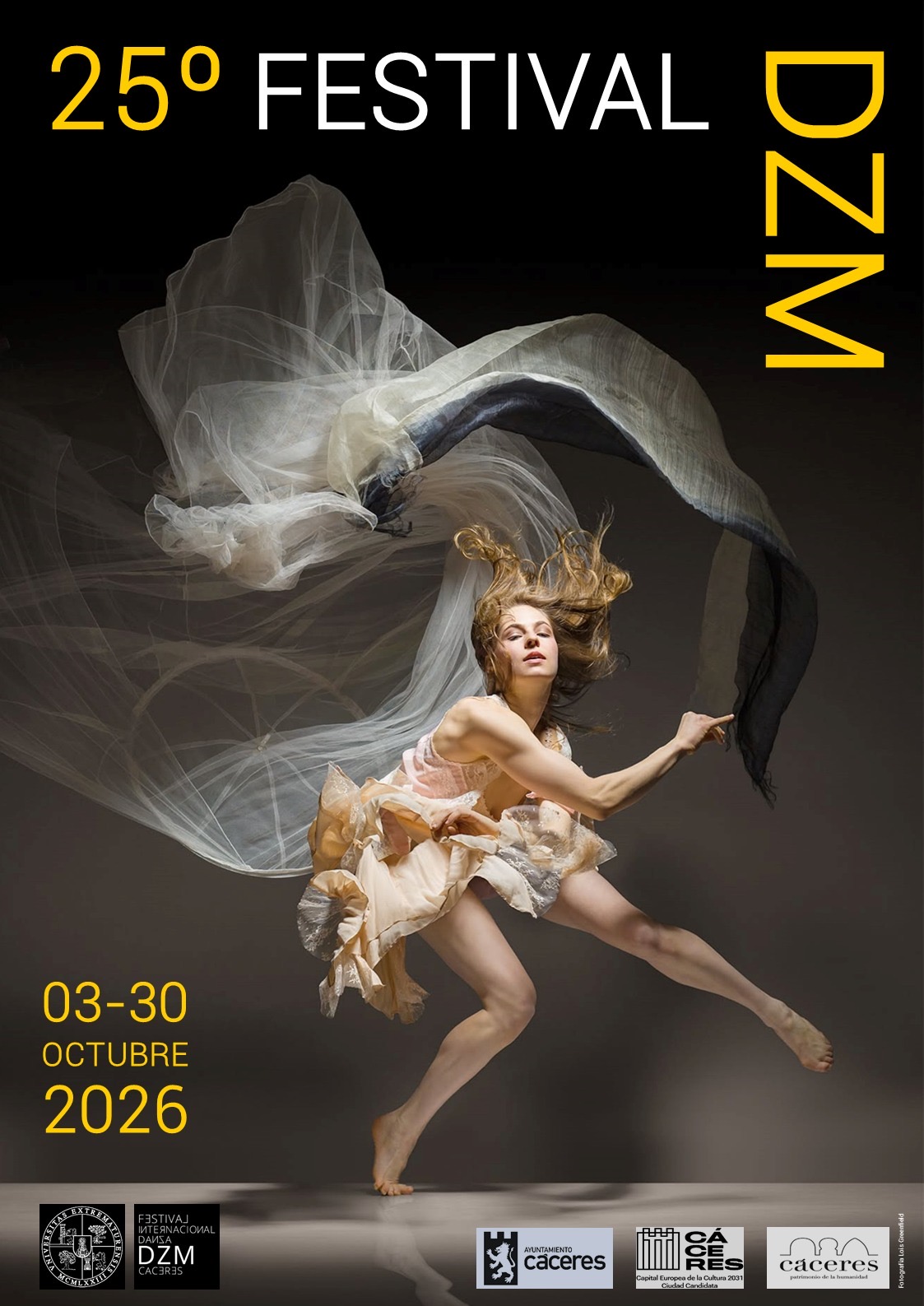Cartel 25º Festival DZM · Festival DZM 2026