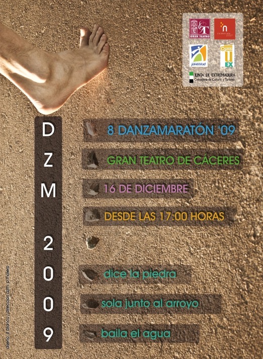 Cartel VIII Danzamaratón · Festival DZM 2009