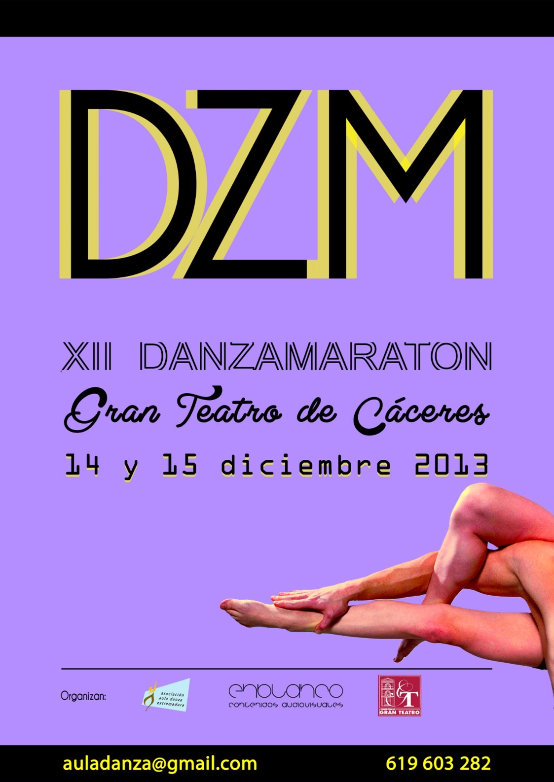 Cartel XII Danzamaratón · Festival DZM 2013