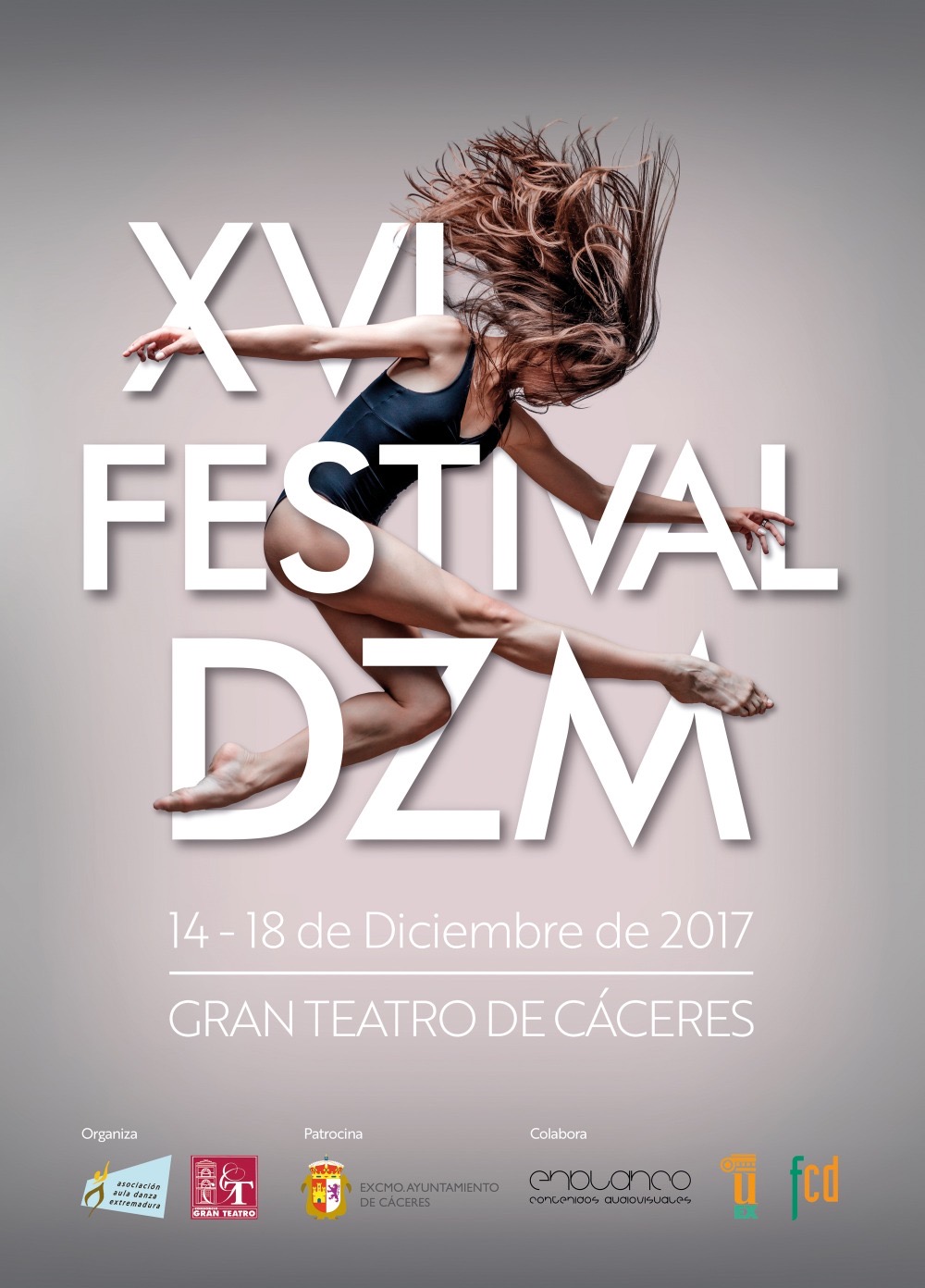Cartel XVI Festival DZM · Festival DZM 2017