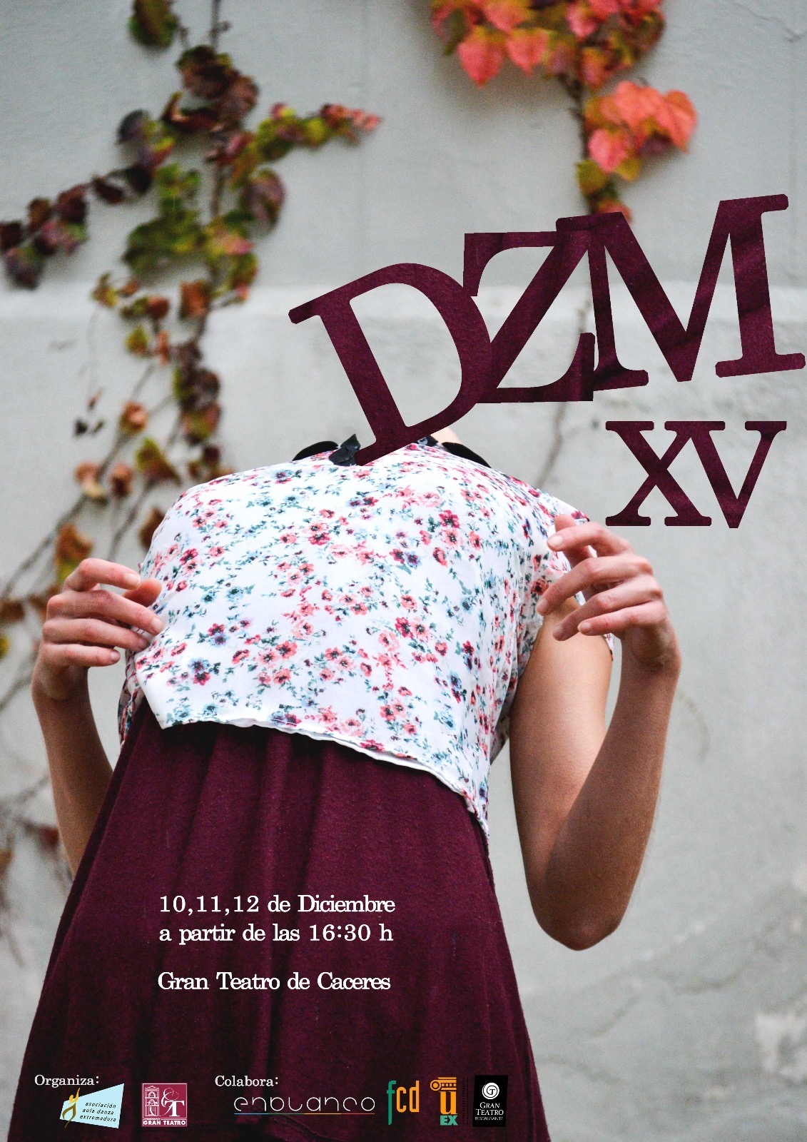 Cartel XV Festival DZM · Festival DZM 2016
