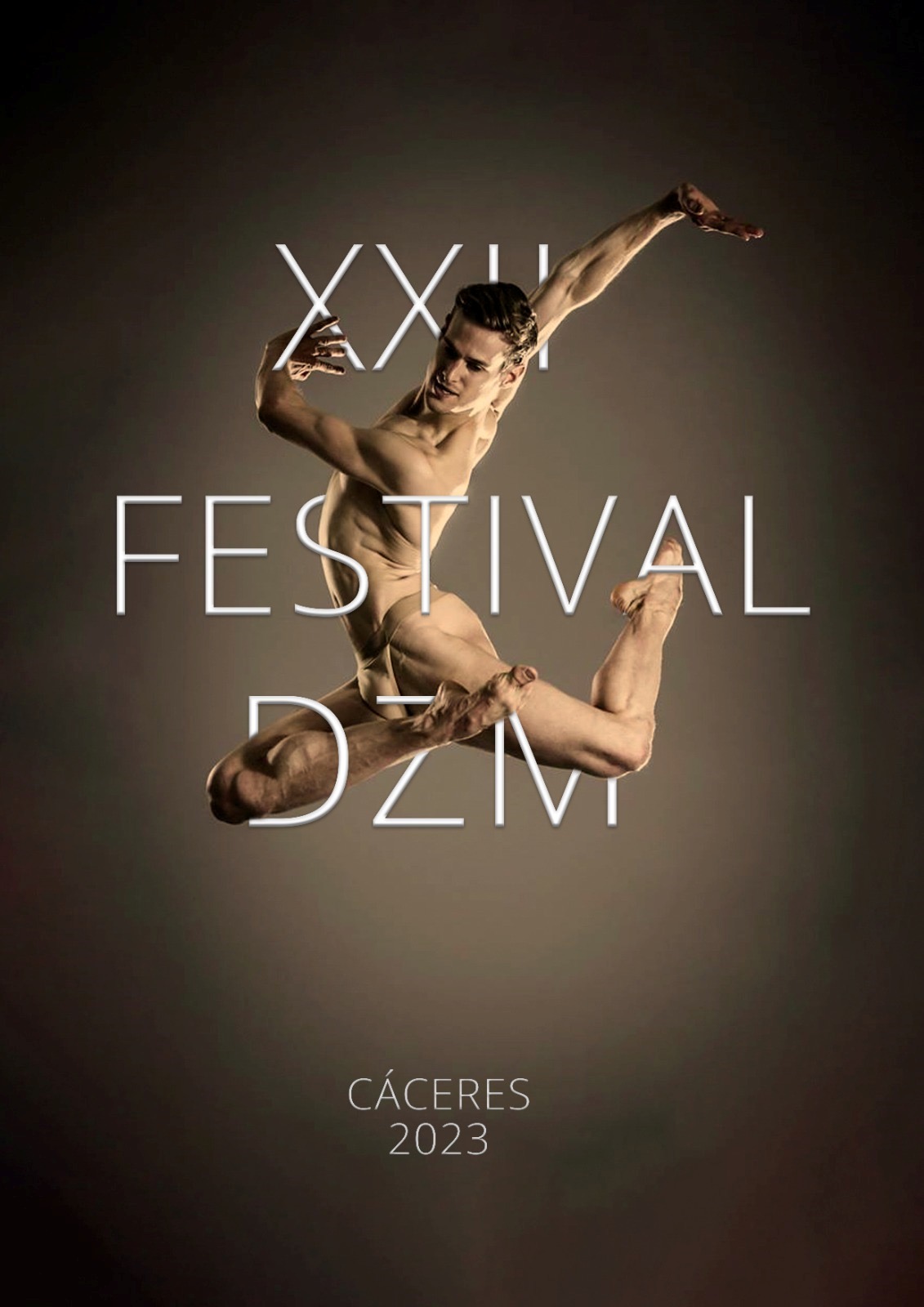 Cartel XXII Festival DZM · Festival DZM 2023