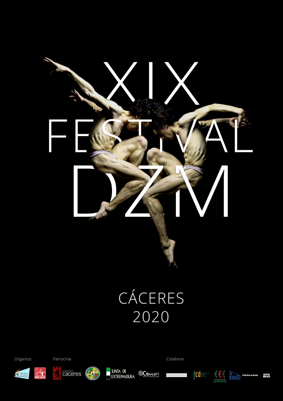 Cartel XIX Festival DZM · Festival DZM 2020